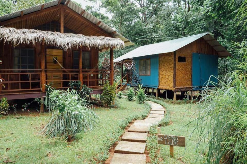 Hidden Paradise Lodge Drake Bay Exterior photo