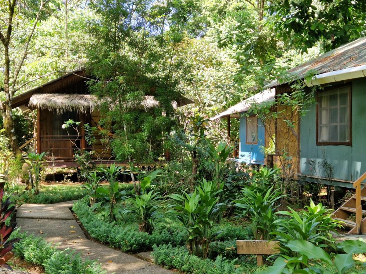 Hidden Paradise Lodge Drake Bay Exterior photo